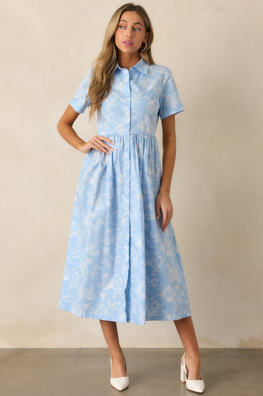 Believe It Cotton Light Blue Toile Maxi Dress