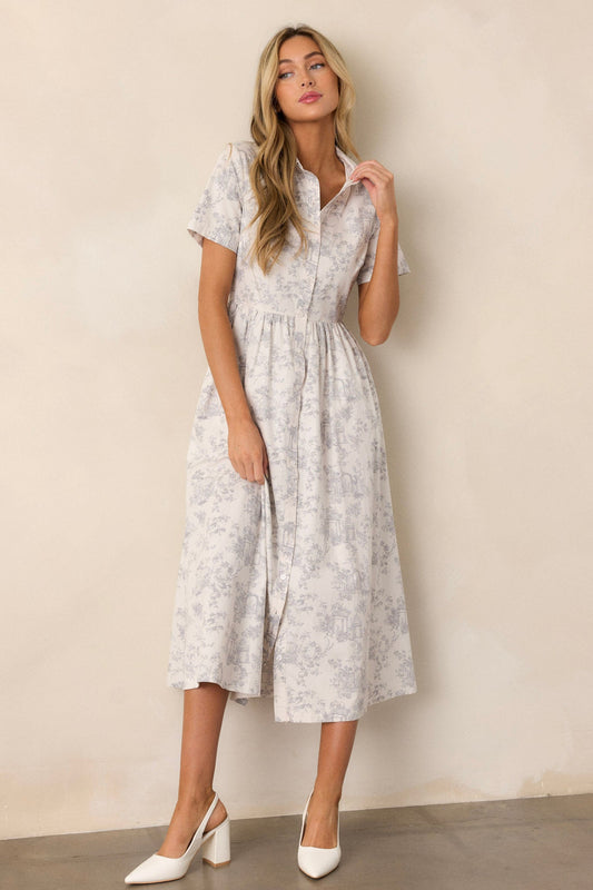 Believe It Cotton Light Grey Toile Maxi Dress